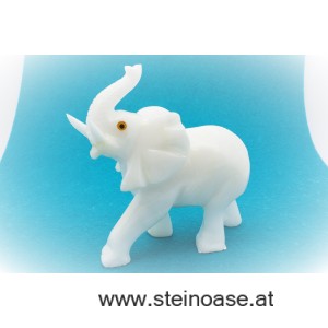 Elefant Selenit